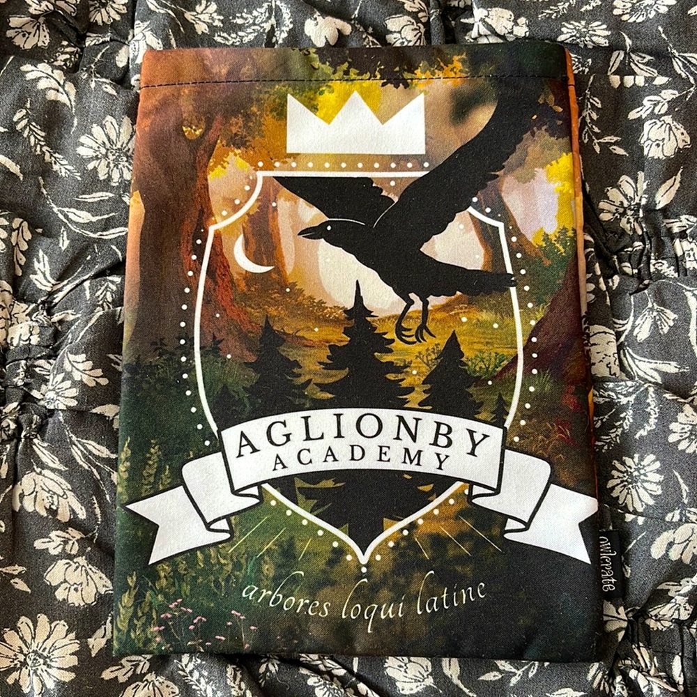The Raven Boys Inspired Book Sleeve